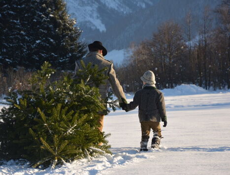 Weihnachten in den Bergen 8=7